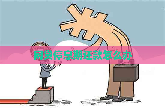 网贷停息期还款怎么办