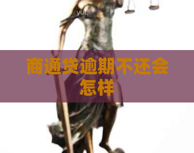 商通贷逾期不还会怎样