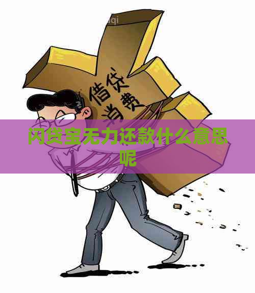 闪贷宝无力还款什么意思呢