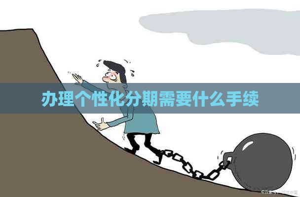 办理个性化分期需要什么手续