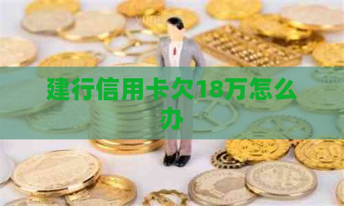 建行信用卡欠18万怎么办