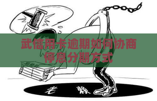 武信用卡逾期如何协商停息分期方式