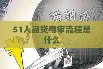 51人品贷电审流程是什么