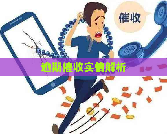 逾期实情解析