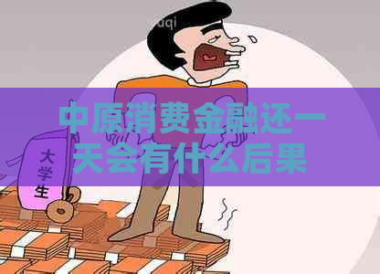 中原消费金融还一天会有什么后果