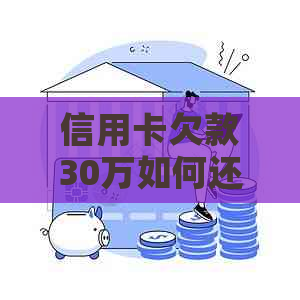 信用卡欠款30万如何还清