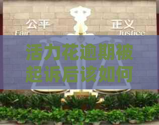 活力花逾期被起诉后该如何处理