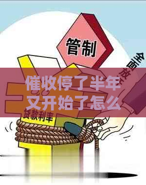 停了半年又开始了怎么回事