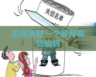 拍贷逾期一个多月有影响吗