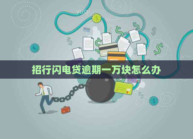 招行闪电贷逾期一万块怎么办