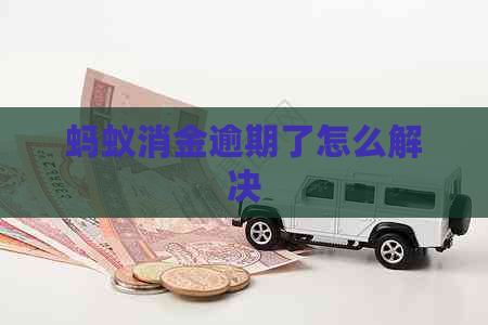 蚂蚁消金逾期了怎么解决