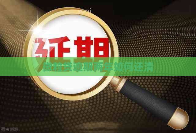 微粒贷逾期两年如何还清