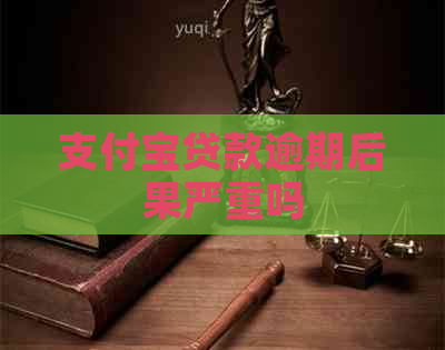 支付宝贷款逾期后果严重吗