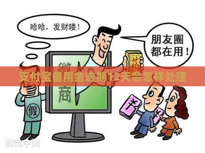 支付宝备用金逾期12天会怎样处理