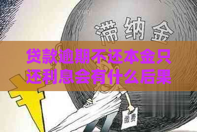 贷款逾期不还本金只还利息会有什么后果