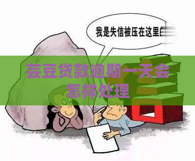 芸豆贷款逾期一天会怎样处理