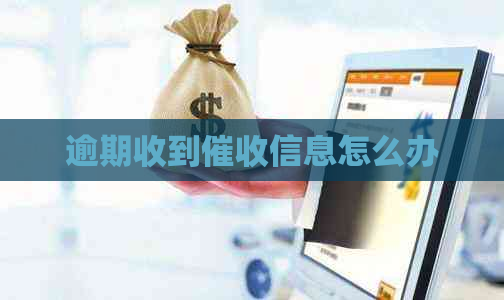 逾期收到信息怎么办