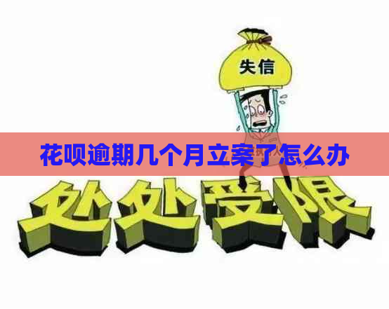花呗逾期几个月立案了怎么办