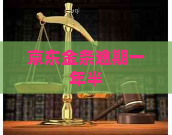 京东金条逾期一年半