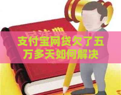 支付宝网贷欠了五万多天如何解决