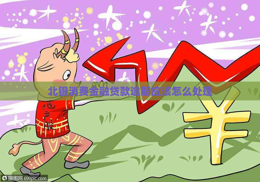 北银消费金融贷款逾期应该怎么处理