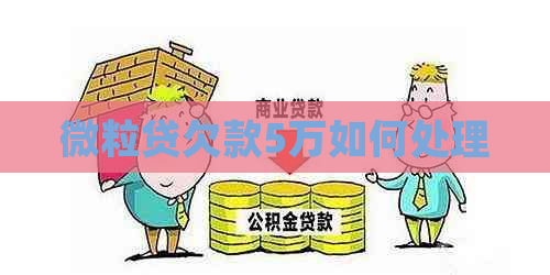 微粒贷欠款5万如何处理