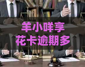 羊小咩享花卡逾期多久上