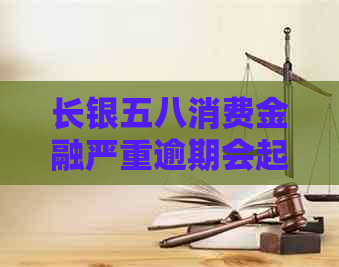 长银五八消费金融严重逾期会起诉吗