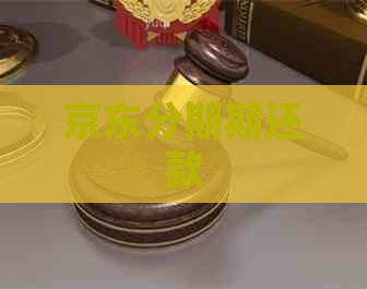 京东分期期还款