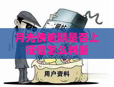 月光侠逾期是否上怎么判断