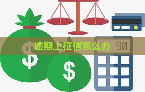 逾期上怎么办