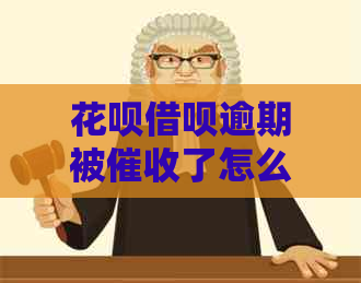 花呗借呗逾期被了怎么办快速解决方法