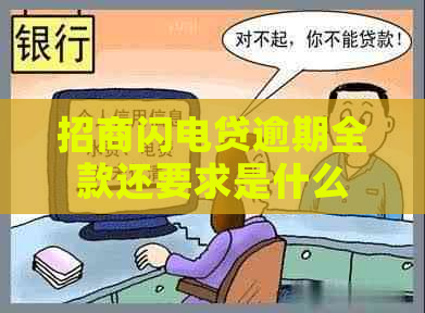 招商闪电贷逾期全款还要求是什么