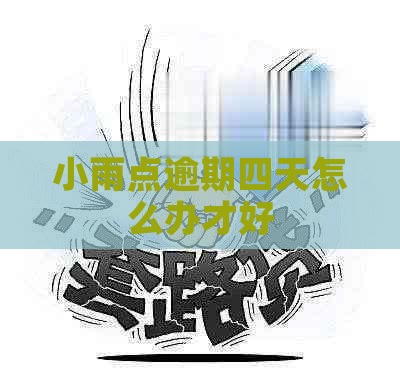 小雨点逾期四天怎么办才好