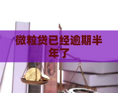 微粒贷已经逾期半年了