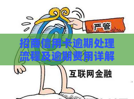 招商信用卡逾期处理流程及逾期费用详解