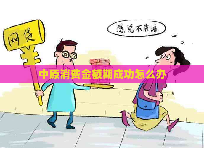 中原消费金额期成功怎么办