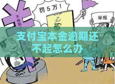 支付宝本金逾期还不起怎么办