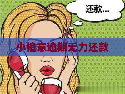 小橙意逾期无力还款