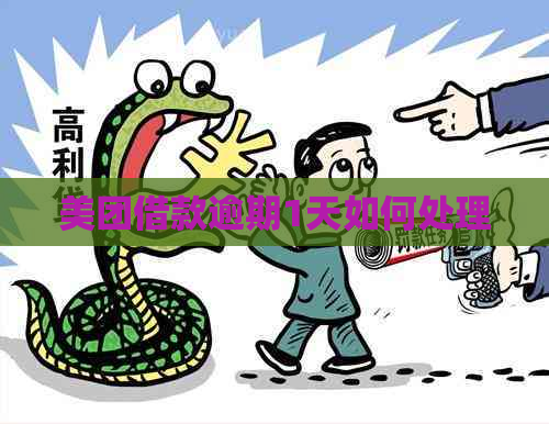 美团借款逾期1天如何处理