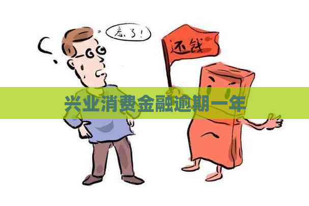 兴业消费金融逾期一年