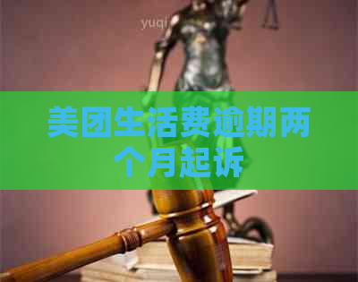 美团生活费逾期两个月起诉