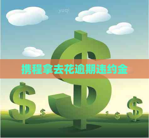 携程拿去花逾期违约金