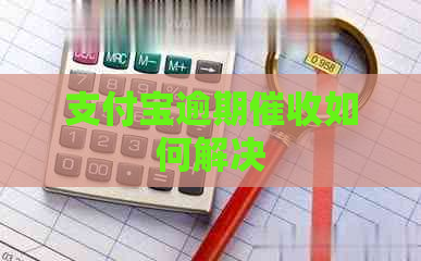 支付宝逾期如何解决