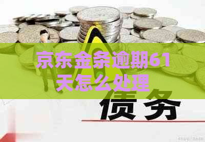 京东金条逾期61天怎么处理