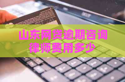 山东网贷逾期咨询律师费用多少