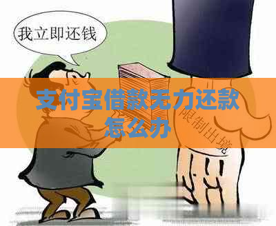 支付宝借款无力还款怎么办