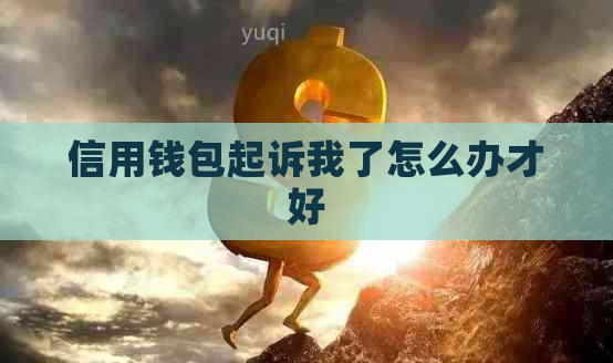 信用钱包起诉我了怎么办才好
