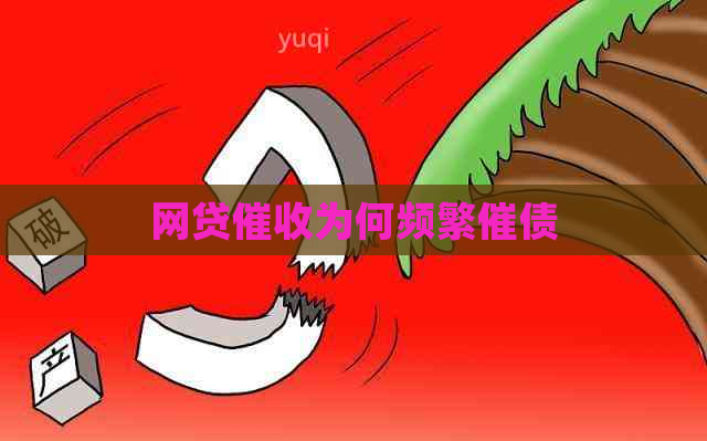 网贷为何频繁催债