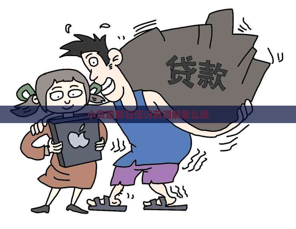 小贷逾期短信诉前调解怎么做